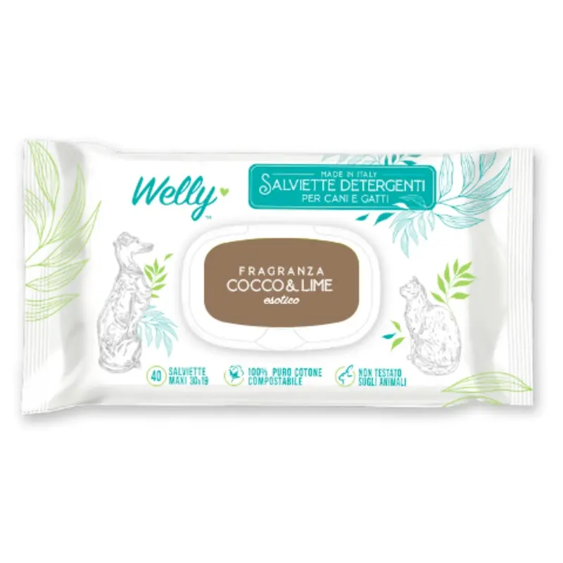 Welly Coconut and Lime Cleansing Wipes