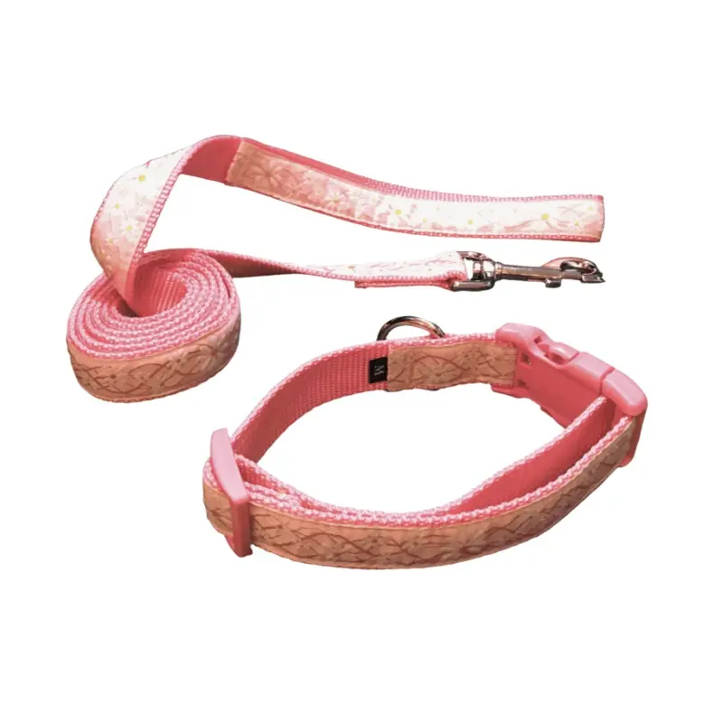 Summer Daisies Dog Collars or leads (1" Wide)