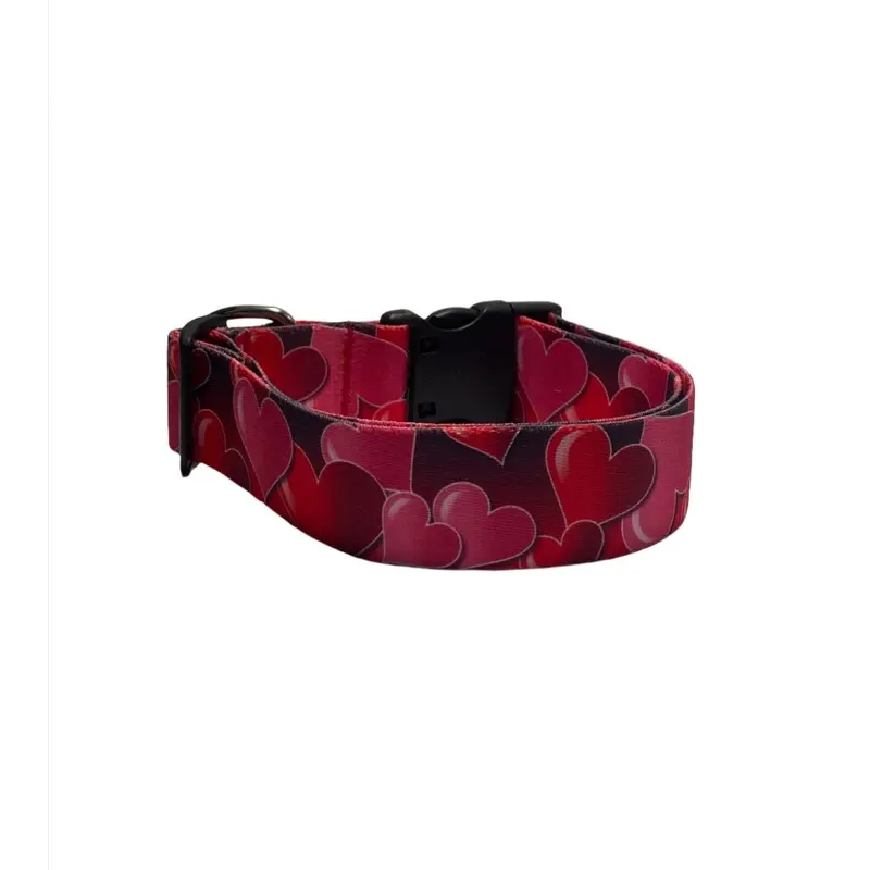 Hearts a Little Dog Collars or Leads (1" Wide)