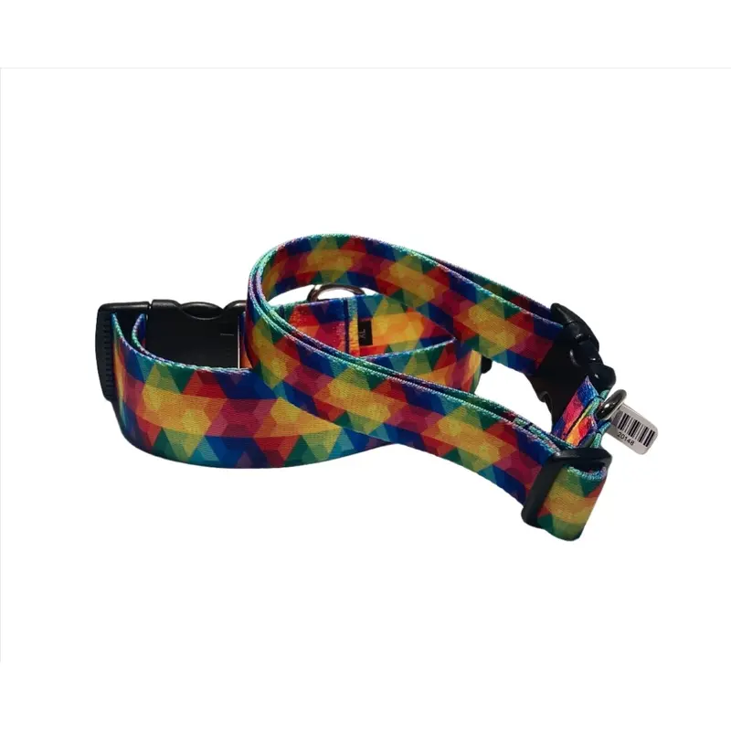 Psychedelic Color Bomb Dog Collars or Leads (1" Wide)