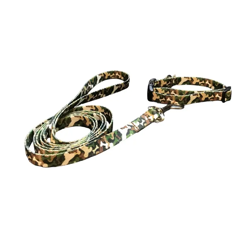 Hide My Bone Dog leads & Collars (5/8" Wide)