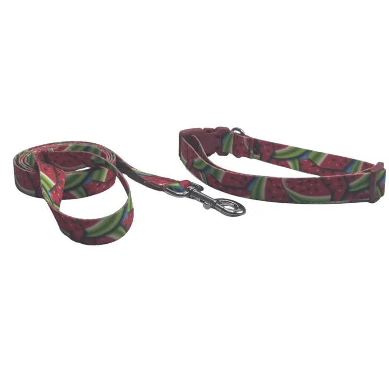 Jazzy Watermelon Dog Collars or Leads (5/8" wide)