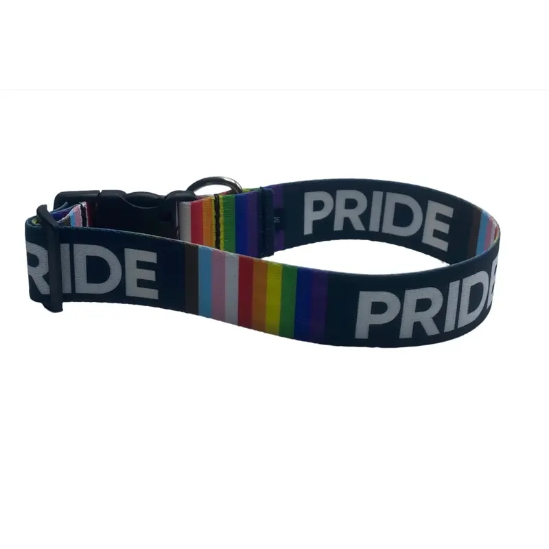 Pride 2021 Dog Collar (1.5" Wide)