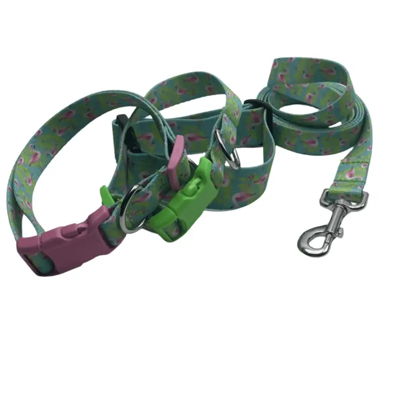 Flamingo A Gogo  Dog Collars or Leads (5/8" Wide)