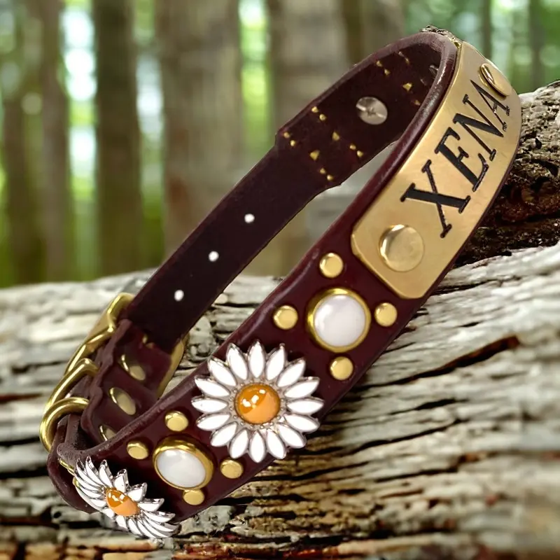 Personalized Leather Dog Collar Yessena