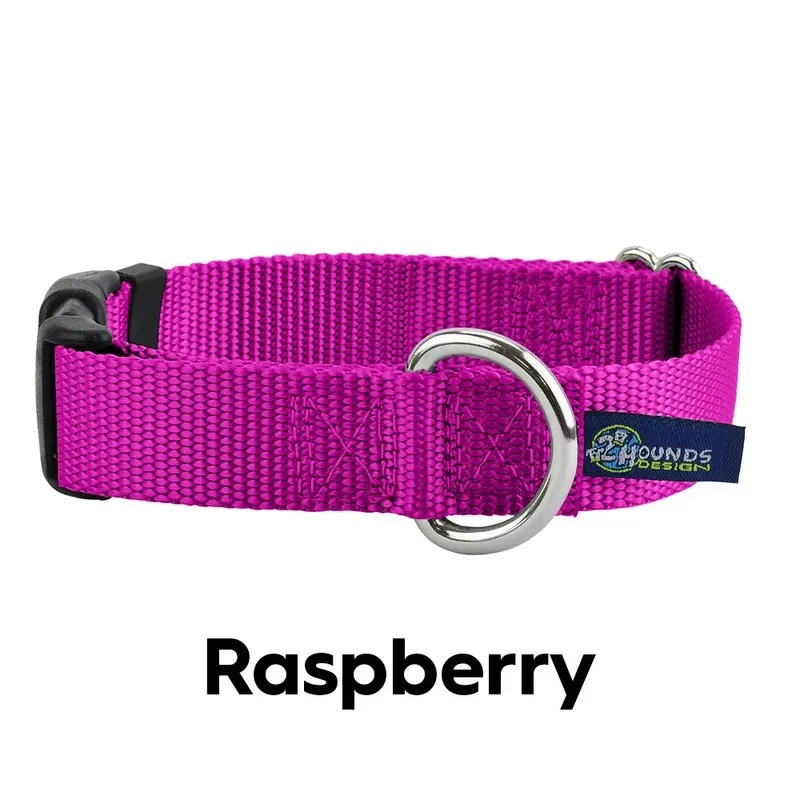 5/8 and 1 Raspberry Nylon Dog Collar