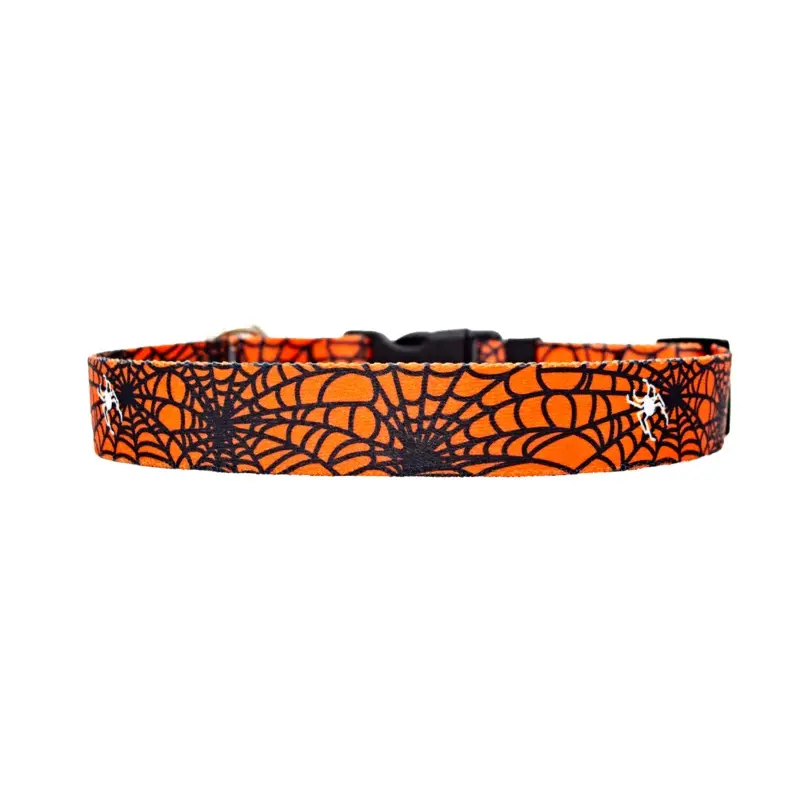 Spider Web Orange Dog Collar