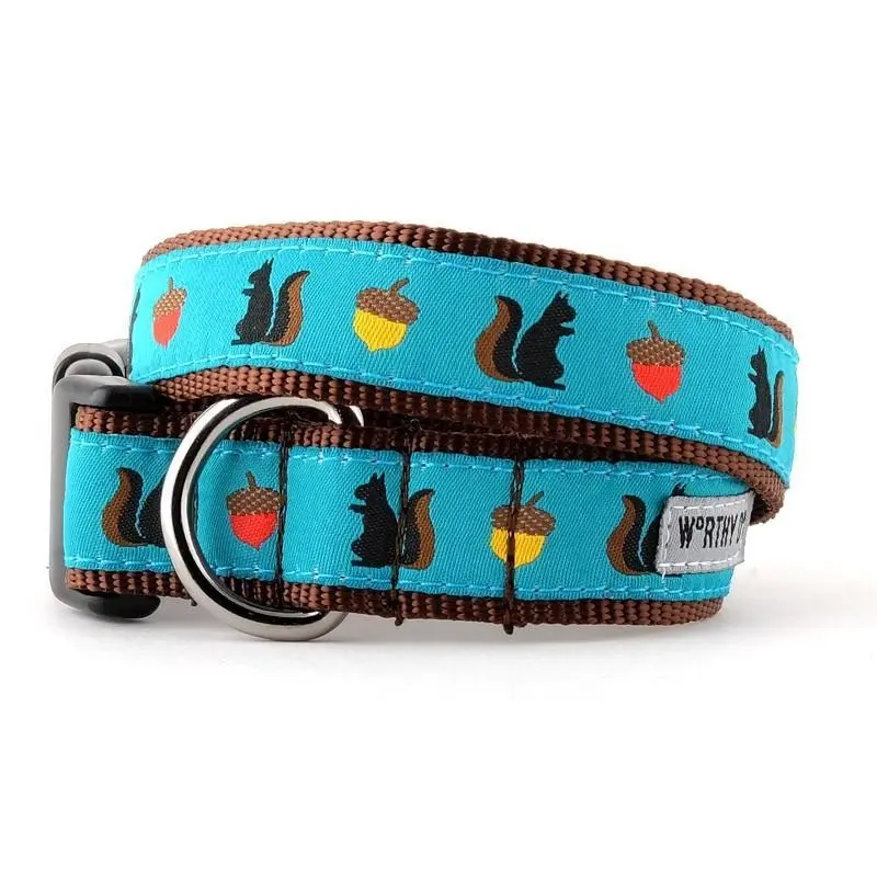 Squirrelly Dog Collar