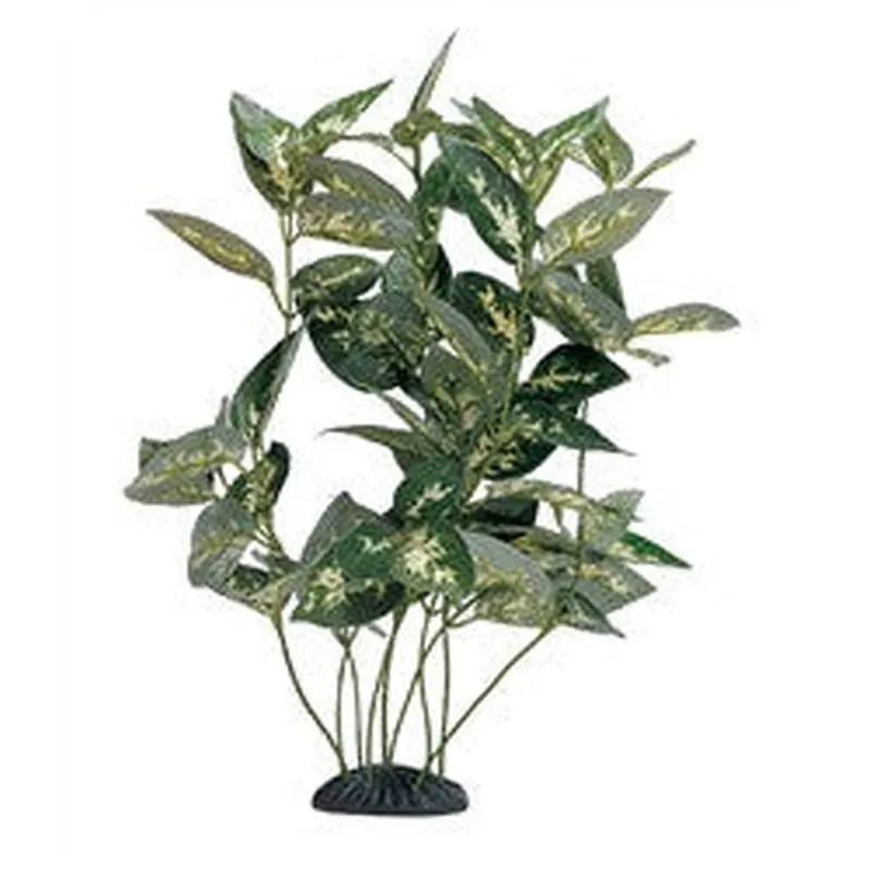 Houttoynia Cordata Silk 12in Pp192