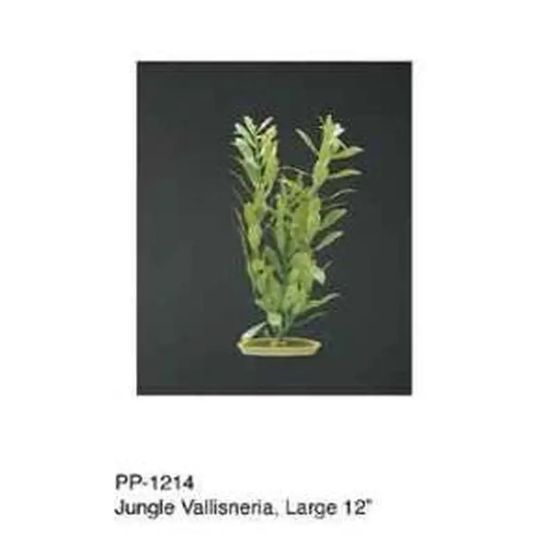 Aquascaper Jungle Vallisneria 12in Pp1214