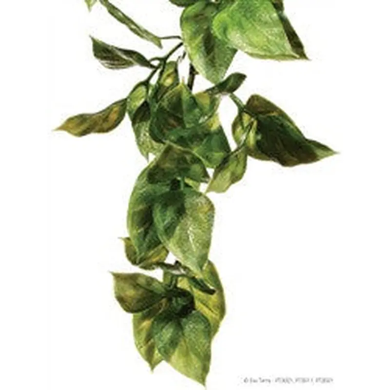 Exo Terra Plastic Plant Small Amapallo Pt3001