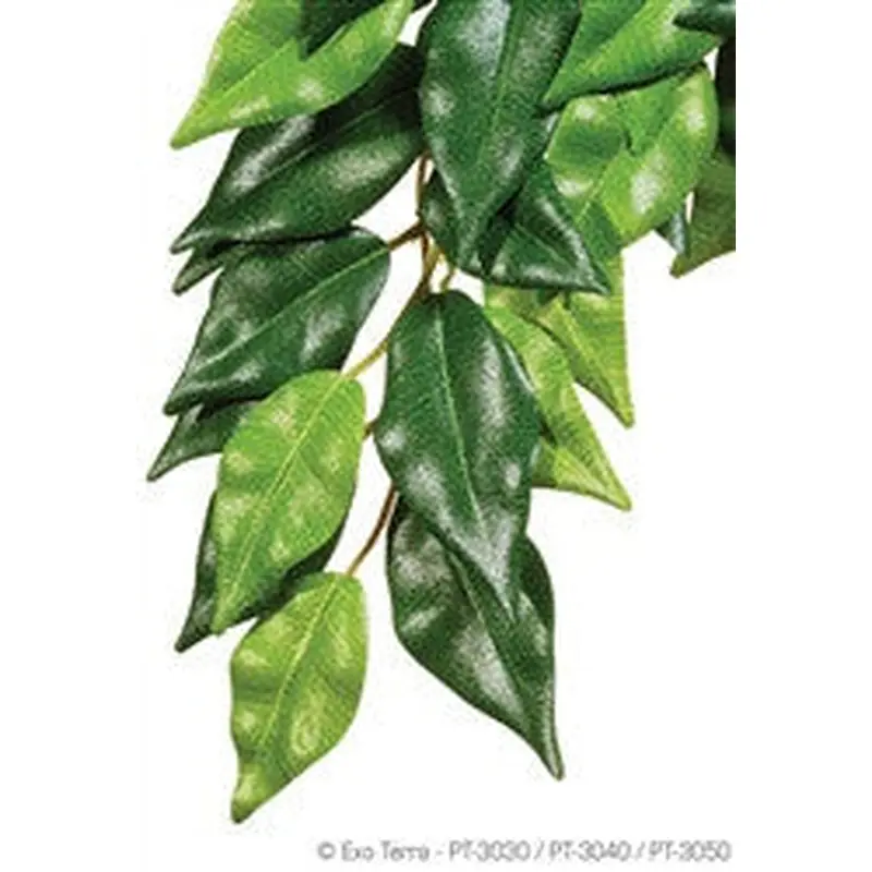 Exo Terra Silk Plant Medium Ficus Pt3040
