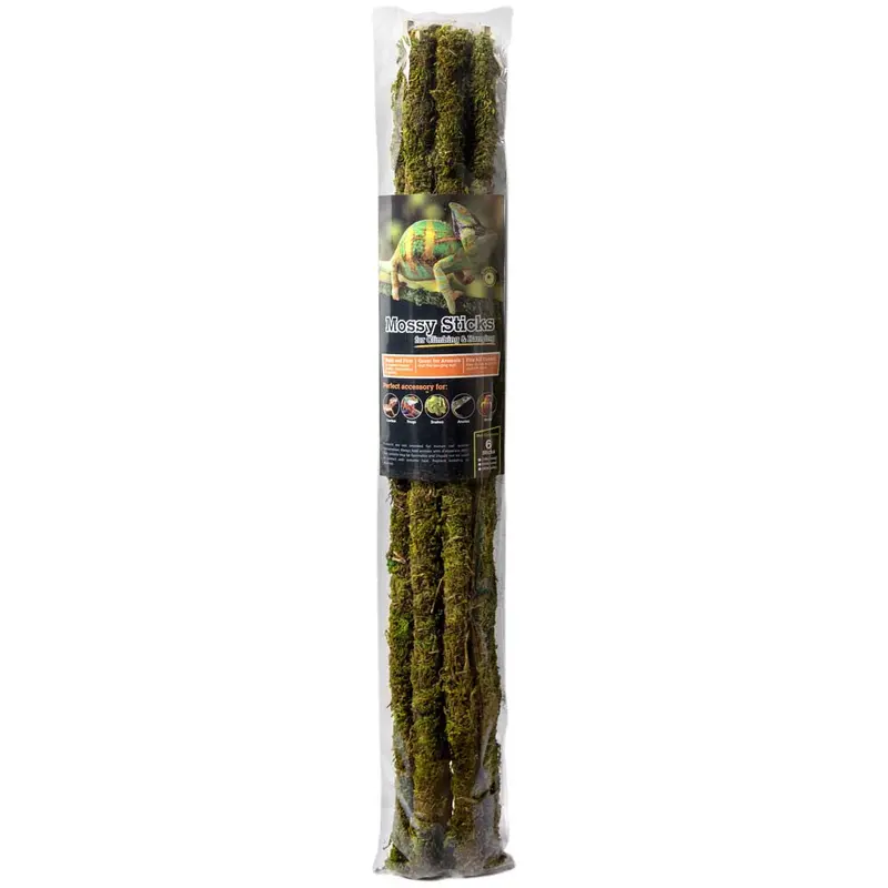 Galapagos Mossy Sticks Terrarium Ornament Fresh Green 24 in 6 Count