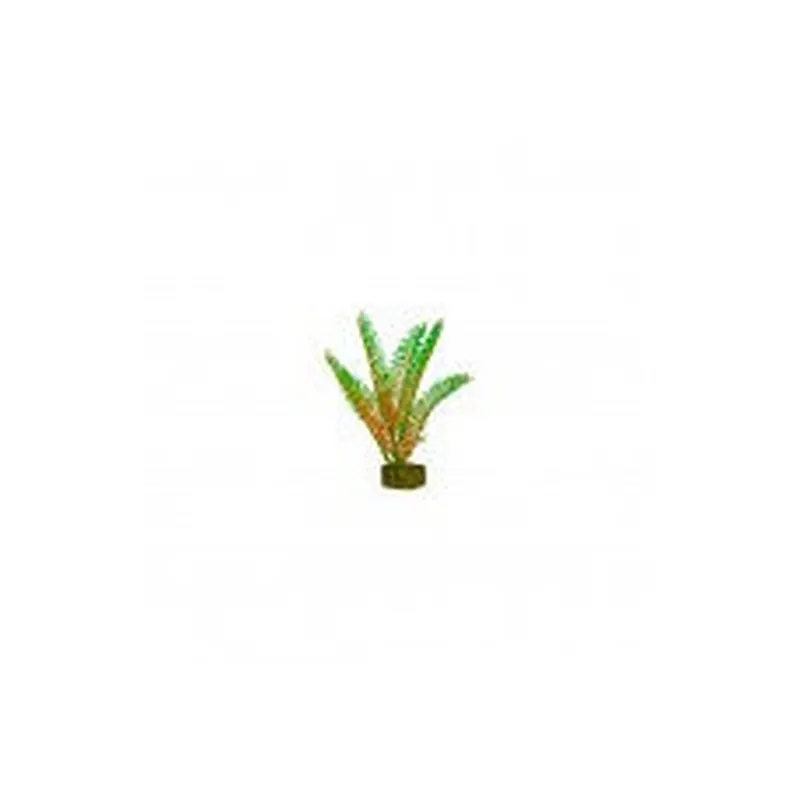 Tetra GloFish Plant Green/Orange - Small 