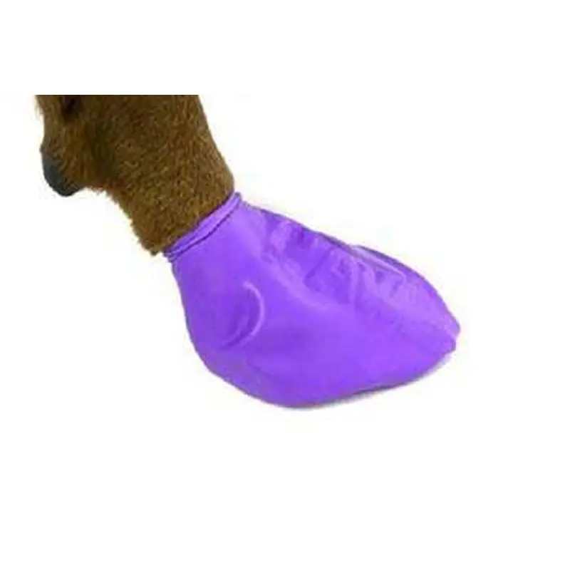 Pawz Dog Boots 12 pk. Large 
