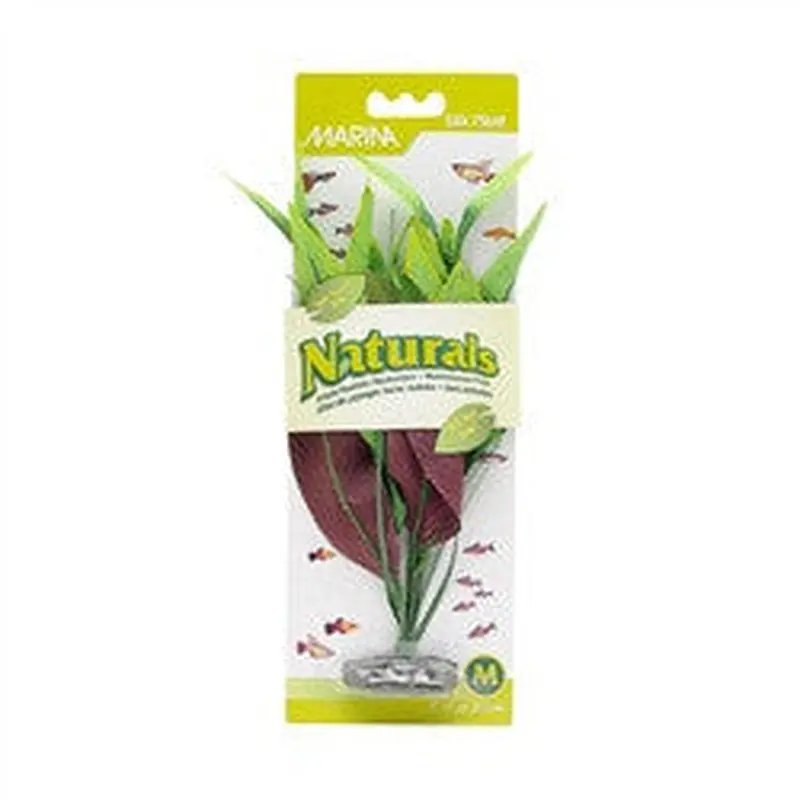 Marina Naturals Green Pickerel Silk Plant Medium Pp91