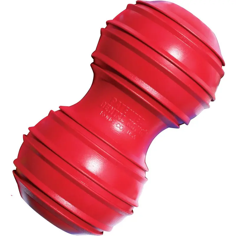 KONG DNTL NO RPE DOG TOY LG
