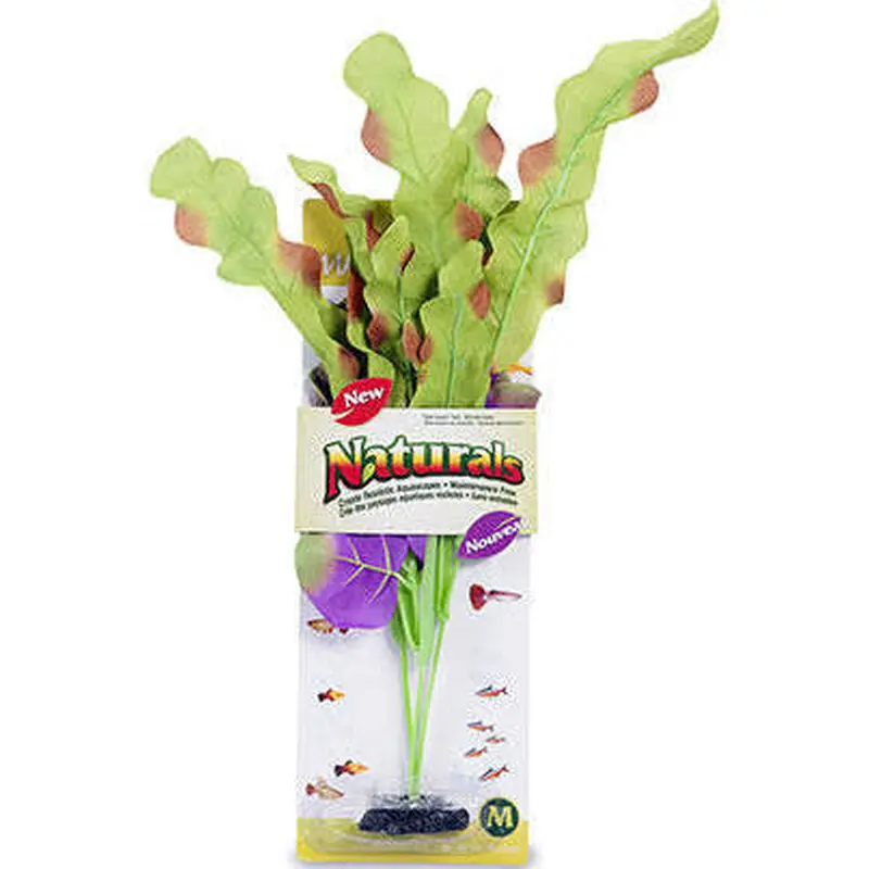 Marina Naturals Indigo and Green Waffleleaf Plant Large Pp109