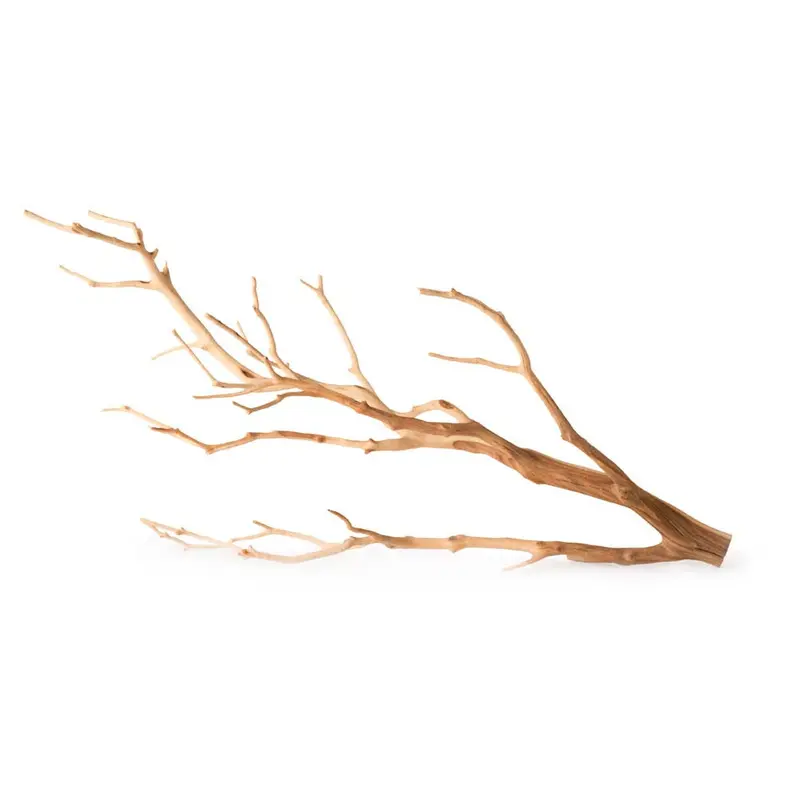 Galapagos Staghorn Wood Manzanita Branch Brown 13 Inches - 18 Inches