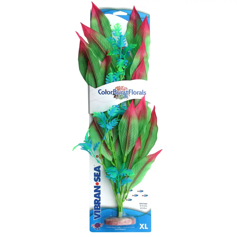 Blue Ribbon Colorburst Florals Amazon Sword Aquarium Plant Green XL