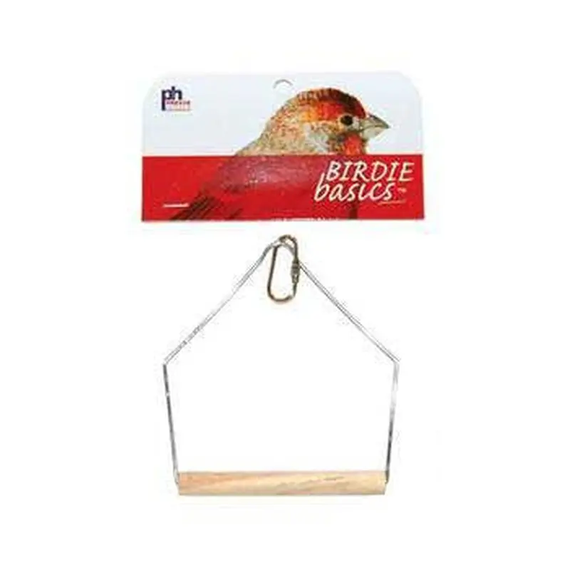 Prevue 388 Birdie Basics Swing 4x5" 