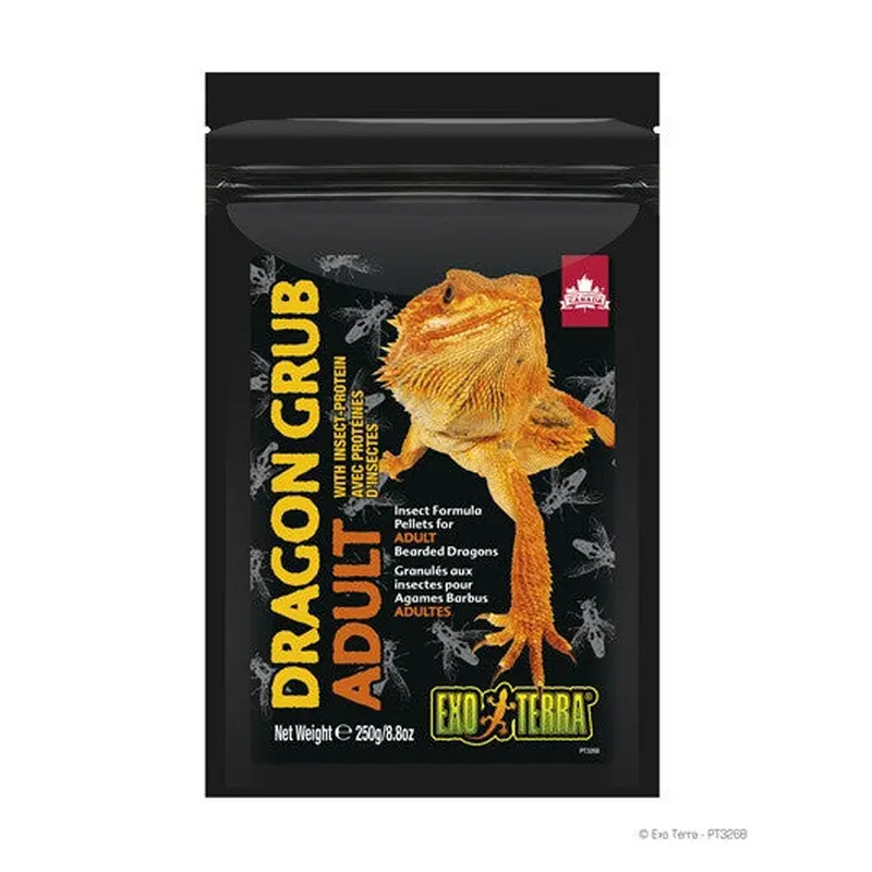 Exo Terra Dragon Grub, Adult 8.8oz Pt3268