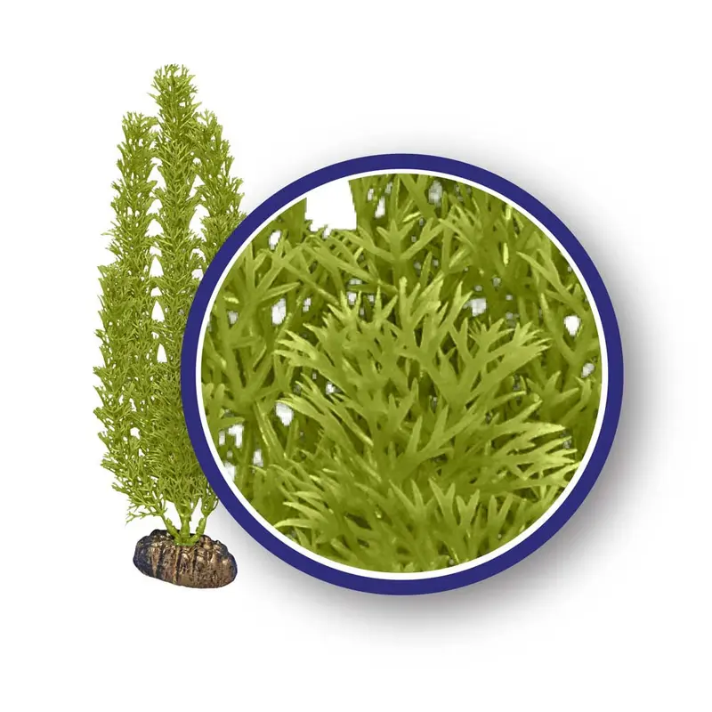 Weco Freshwater Series Foxtail Aquarium Plant Green 18 in