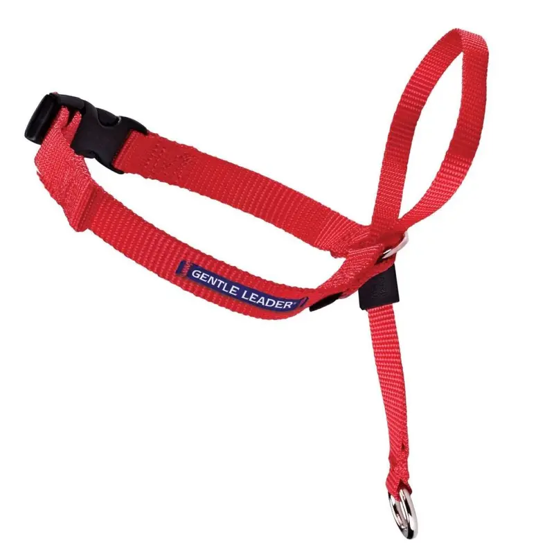 PetSafe Headcollar No-Pull Dog Collar Red MD