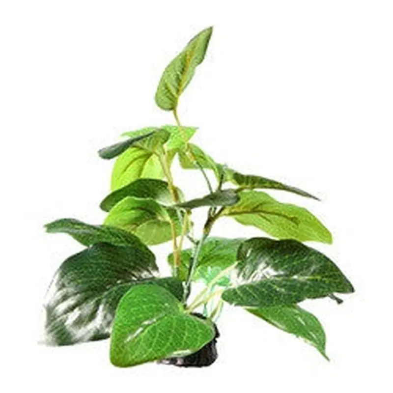 Hagen Fluval Samolus Sword Plant 2.75in Pp1622