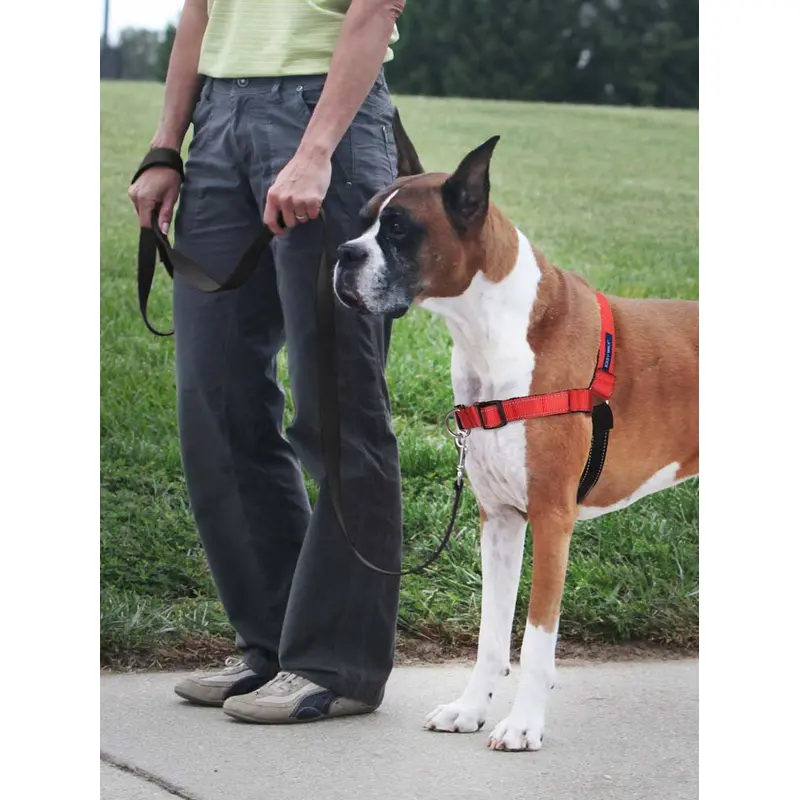 PetSafe Deluxe Easy Walk Steel Dog Harness Black/Rose LG