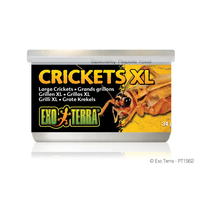 Exo Terra Canned Crickets, XL, 1.2 oz