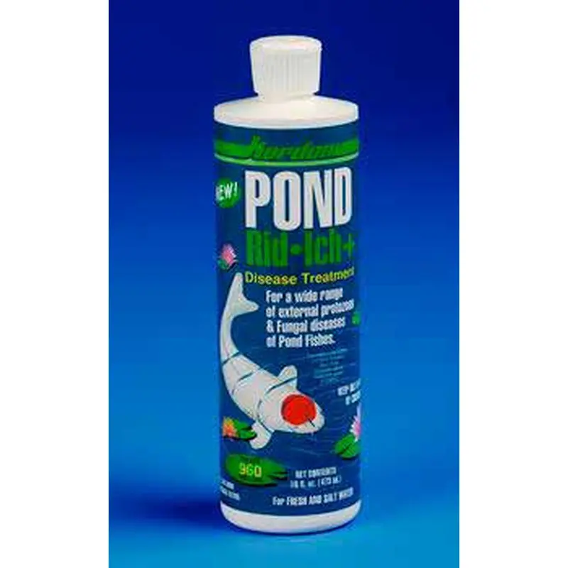 Kordon Pond Rid Ich 16oz 