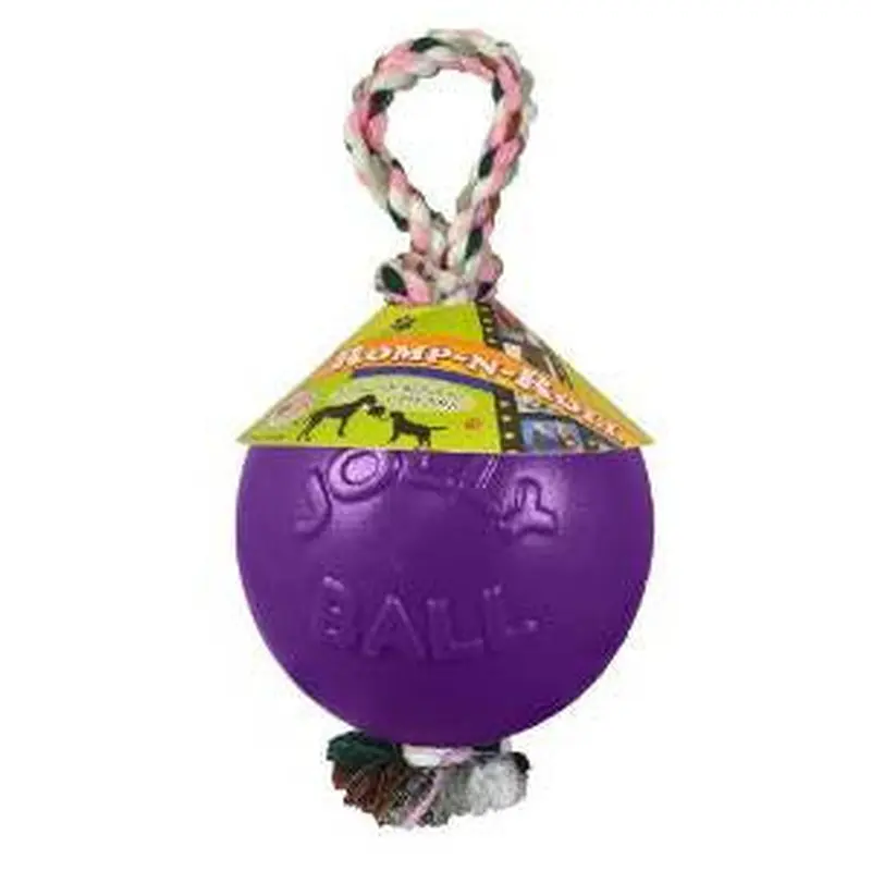 Jolly Pets Romp-N-Roll Purple 8" 