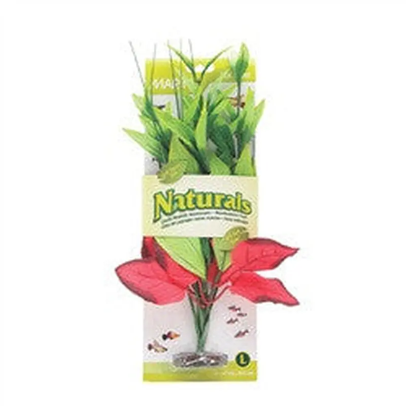 Marina Naturals Red and Green Pickerel Silk Plant L Pp100