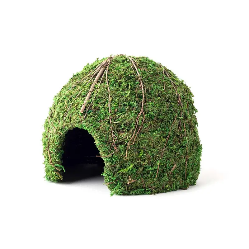 Galapagos Mossy Dome Terrarium Hideaway Fresh Green 9 in