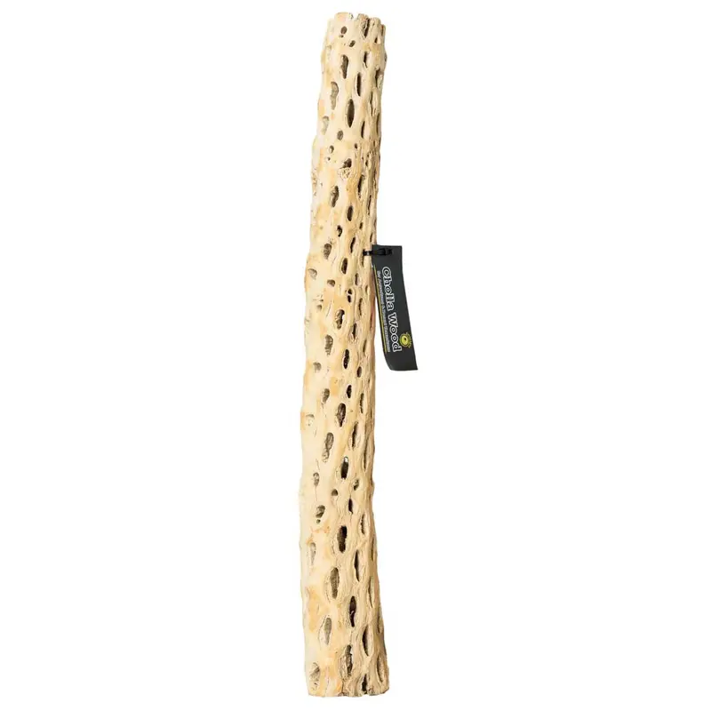 Galapagos Cactus Skeleton Cholla Wood Brown 36 in
