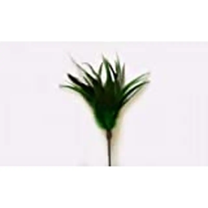 Go Cat Kitty Duster 18 inch