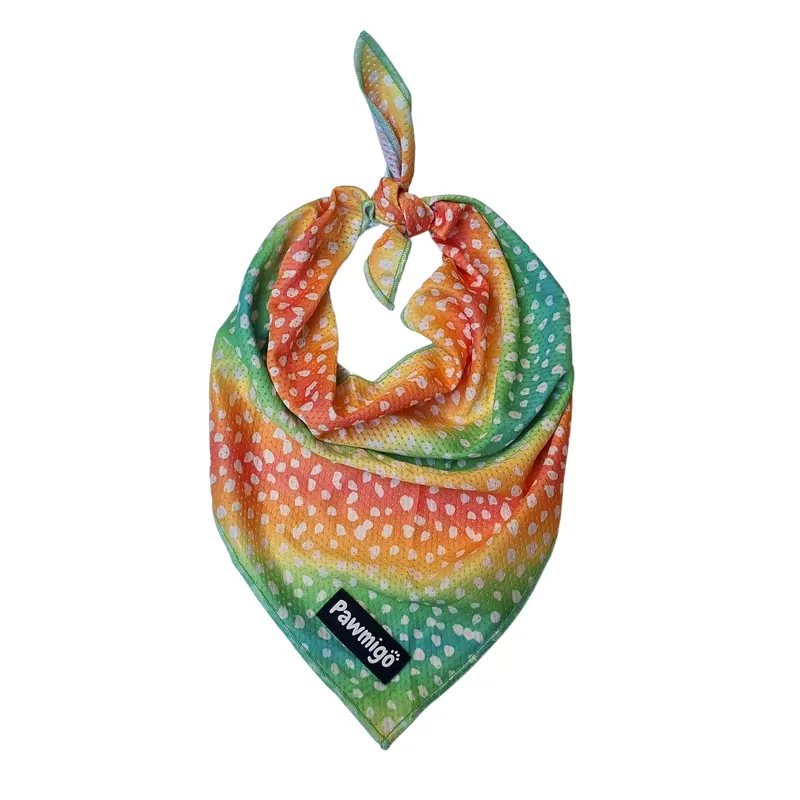 Chasing Rainbows Cooling Bandana