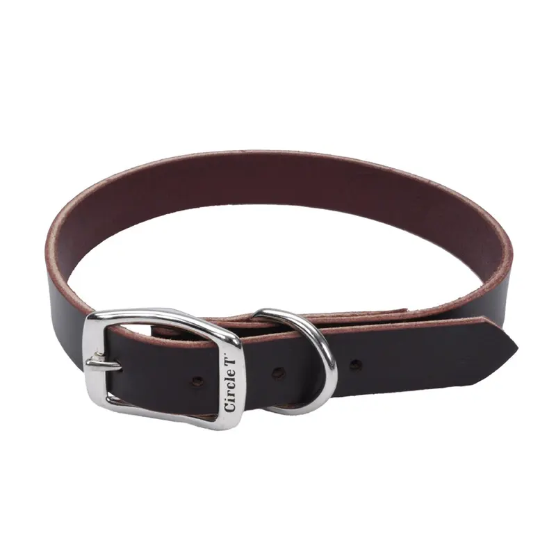 Coastal Circle T 3/8in Wide 10in Leather Town Dog Collar, Latigo