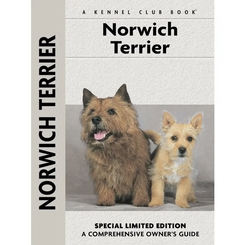 Norwich Terrier