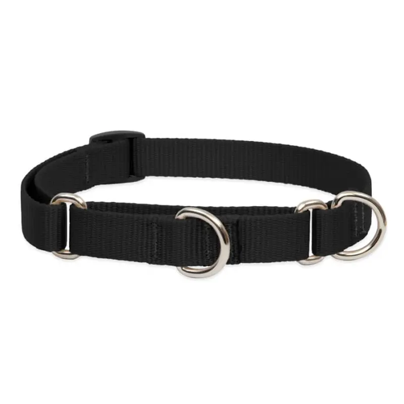 Lupine Pet Dog 3/4 In Wide 10-14 In Martingale Collar Basics Black