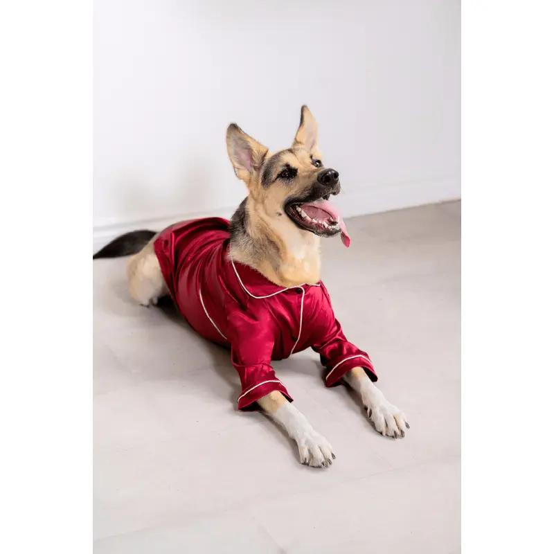 The OG Pet Pajama Set
