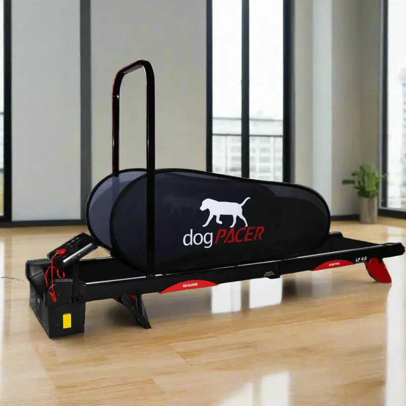 dogPACER 4.0  Bluetooth Edition