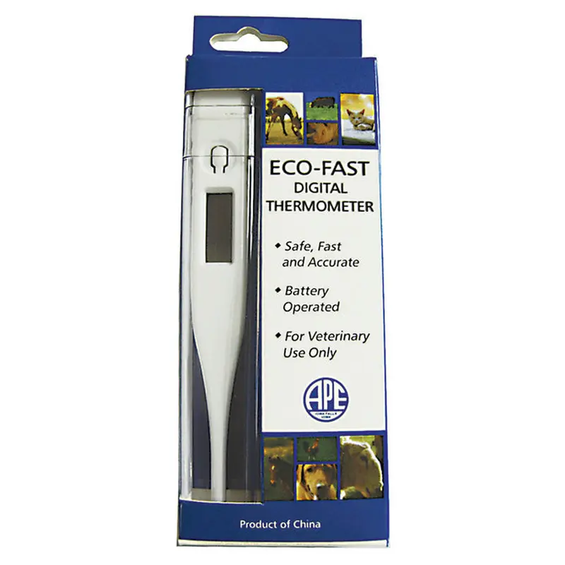 VSI Eco-Fast Digital Thermometer