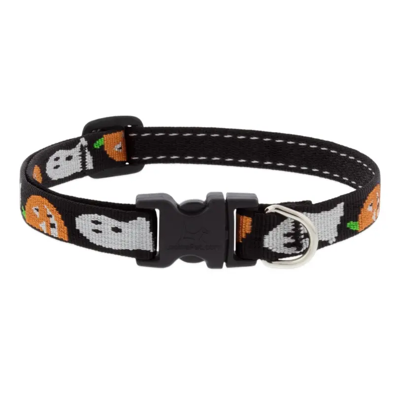 Lupine Adjustable Collar, Ghost, 1/2"x6-9"