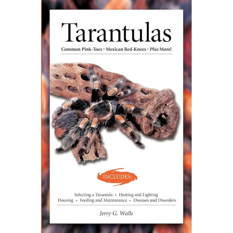 Tarantulas (Advanced Vivarium Systems)