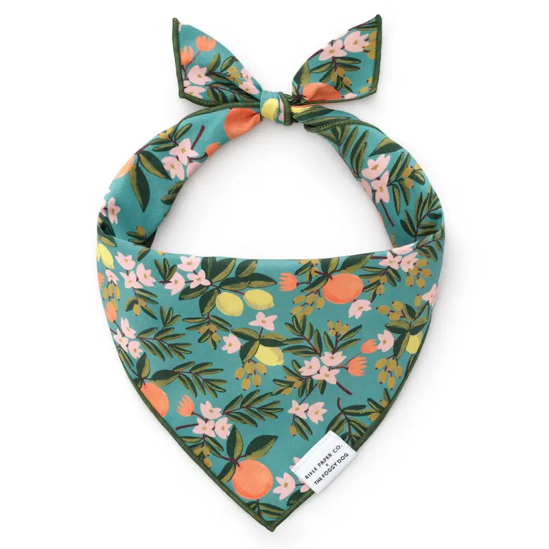 Foggy Dog Bandana