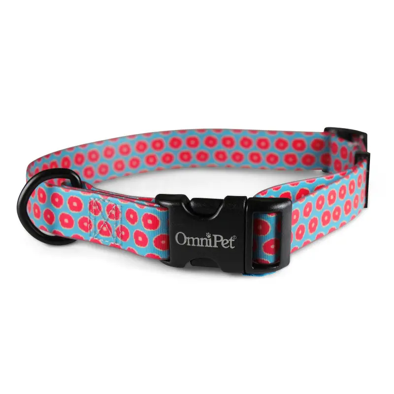 Juicy Attitudz Biothane Dog Collar / Lead