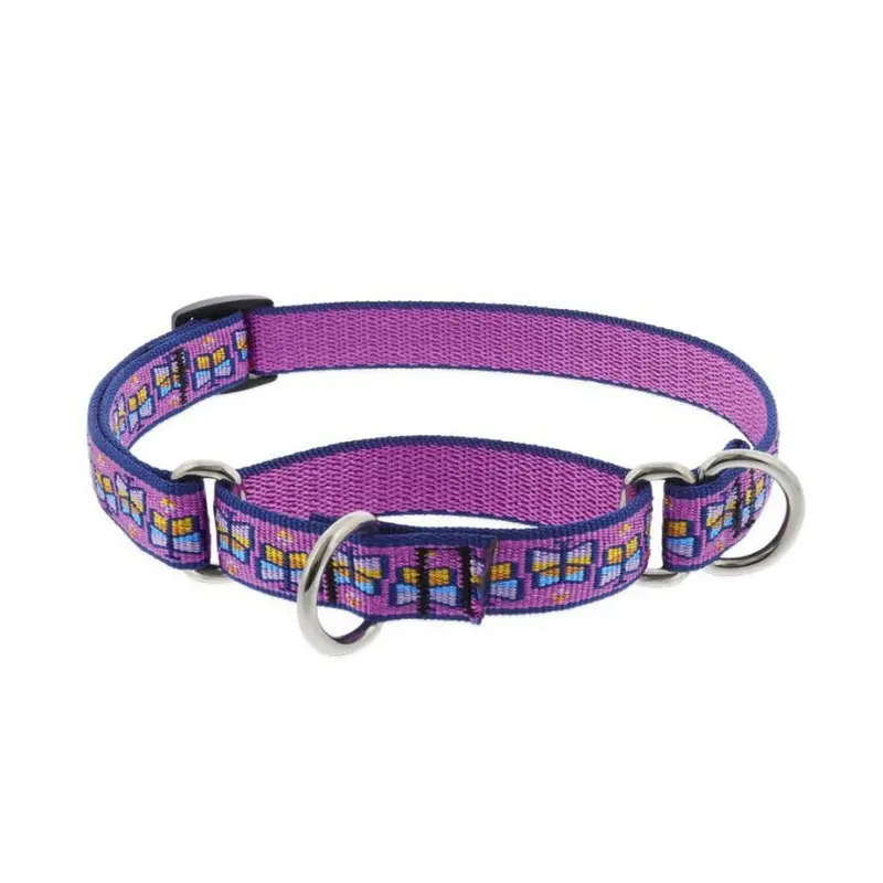 Collar Combo Martingale 3/4" Wide X 9-14" Neck Size Flutterby