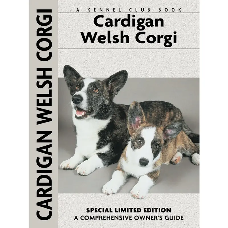 Cardigan Welsh Corgi